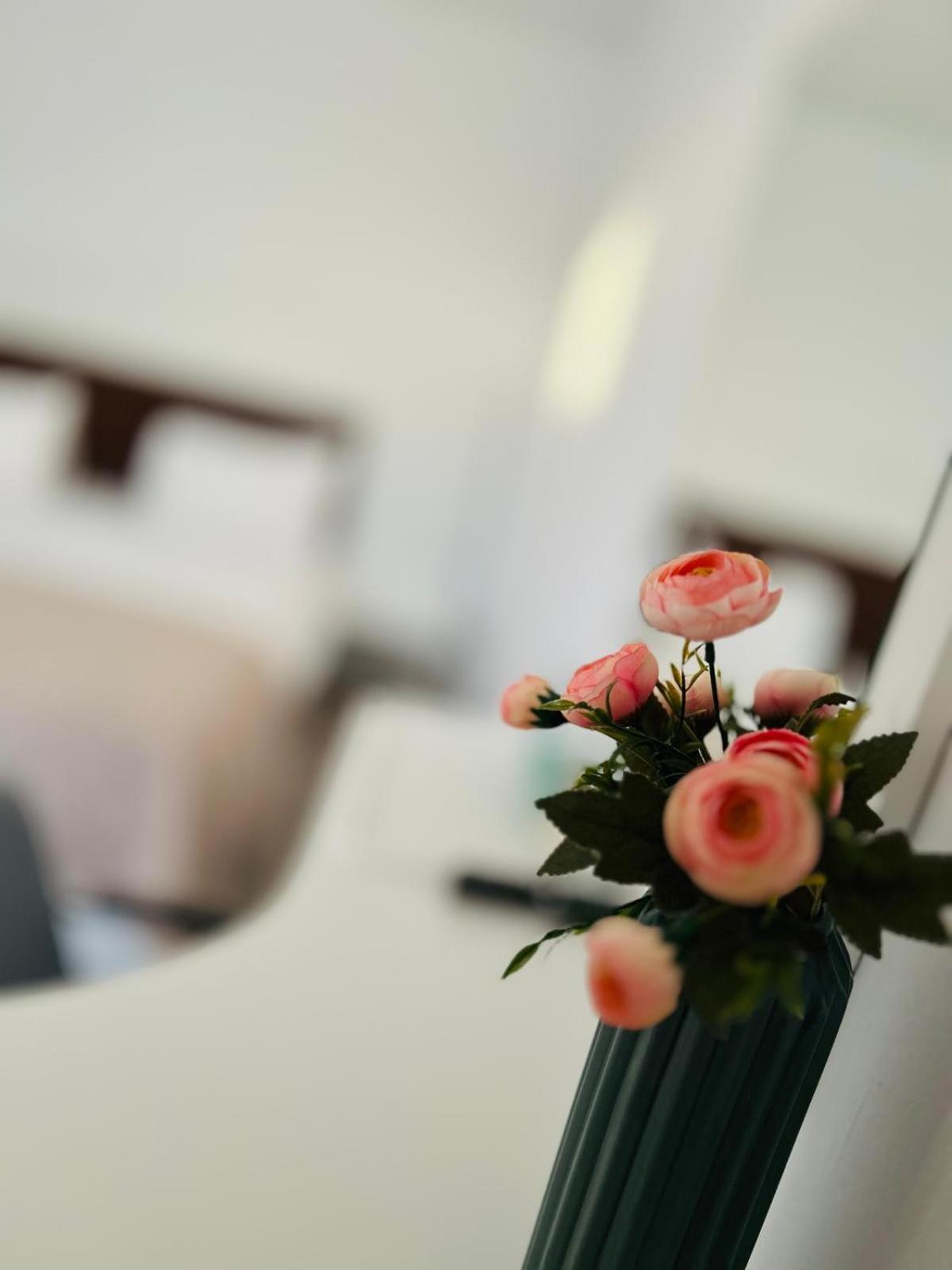 Casa Irina 2Mai Otel Două Mai Dış mekan fotoğraf